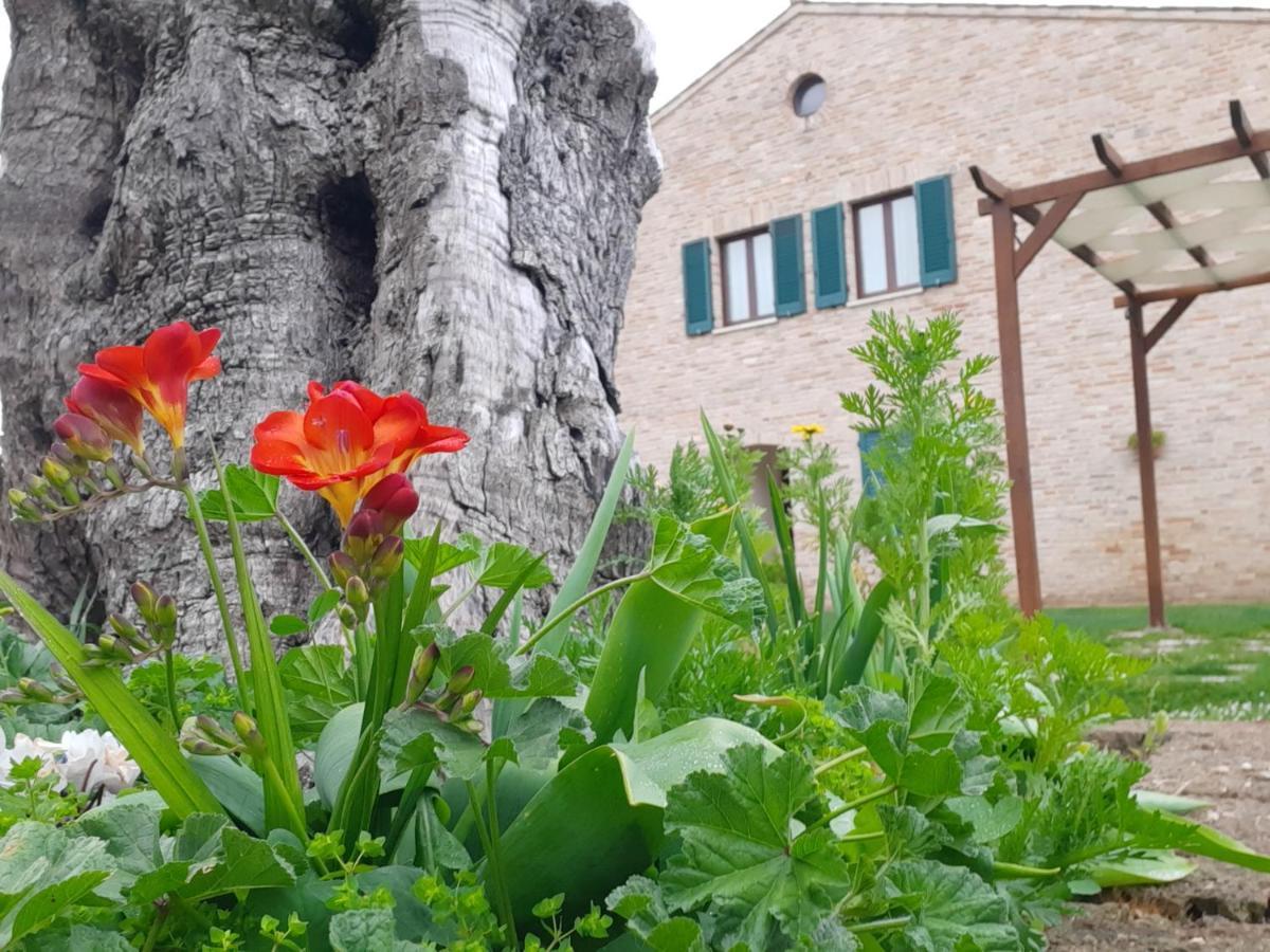 Casale Del Conero Aparthotel Porto Recanati Kültér fotó